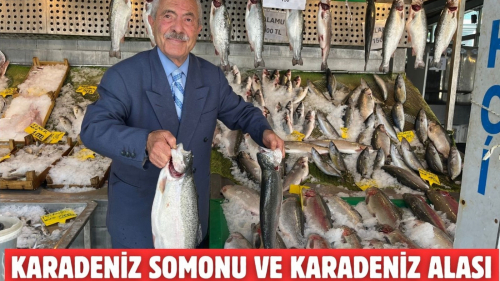 Karadeniz somonu ve Karadeniz alası bolluğu 16 gündür devam ediyor
