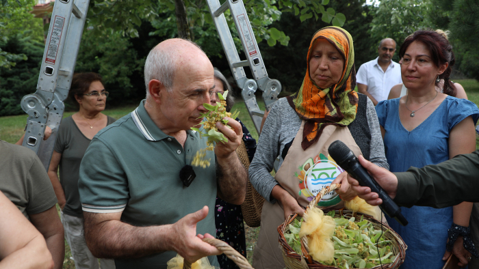 IHLAMURLAR ALTINDA ''BÜYÜKÇEKMECE''