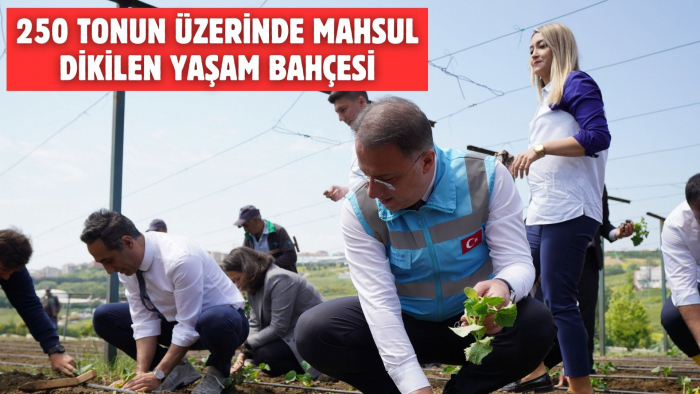 250 TONUN ÜZERİNDE MAHSUL DİKİLEN YAŞAM BAHÇESİ