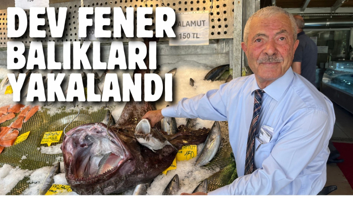 DEV FENER BALIKLARI YAKALANDI