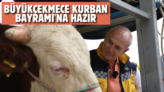 BÜYÜKÇEKMECE KURBAN BAYRAMI'NA HAZIR